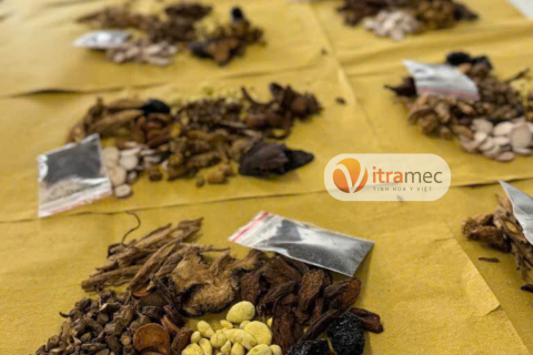 VITRAMEC – GIEO TÂM TRONG TỪNG VỊ THUỐC, ƯƠM MẦM TINH HOA Y HỌC CỔ TRUYỀN