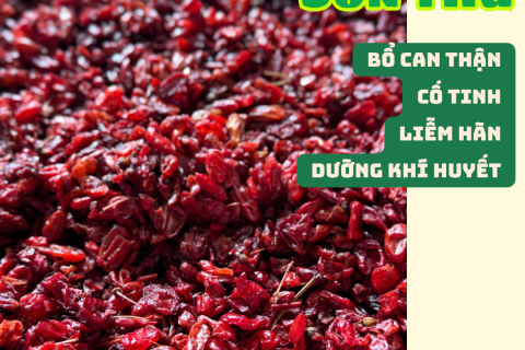 SƠN THÙ – VỊ THUỐC BỔ CAN THẬN, CỐ TINH, LIỄM HÃN, DƯỠNG KHÍ HUYẾT